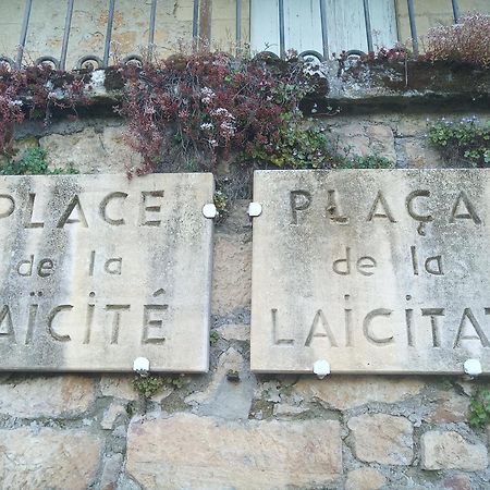 Au Pied Du Chateau - 5 A 11 Personnes - Baignade-Canoe-Piste Cyclable A 100 M 캬스텔노라샤펠 외부 사진