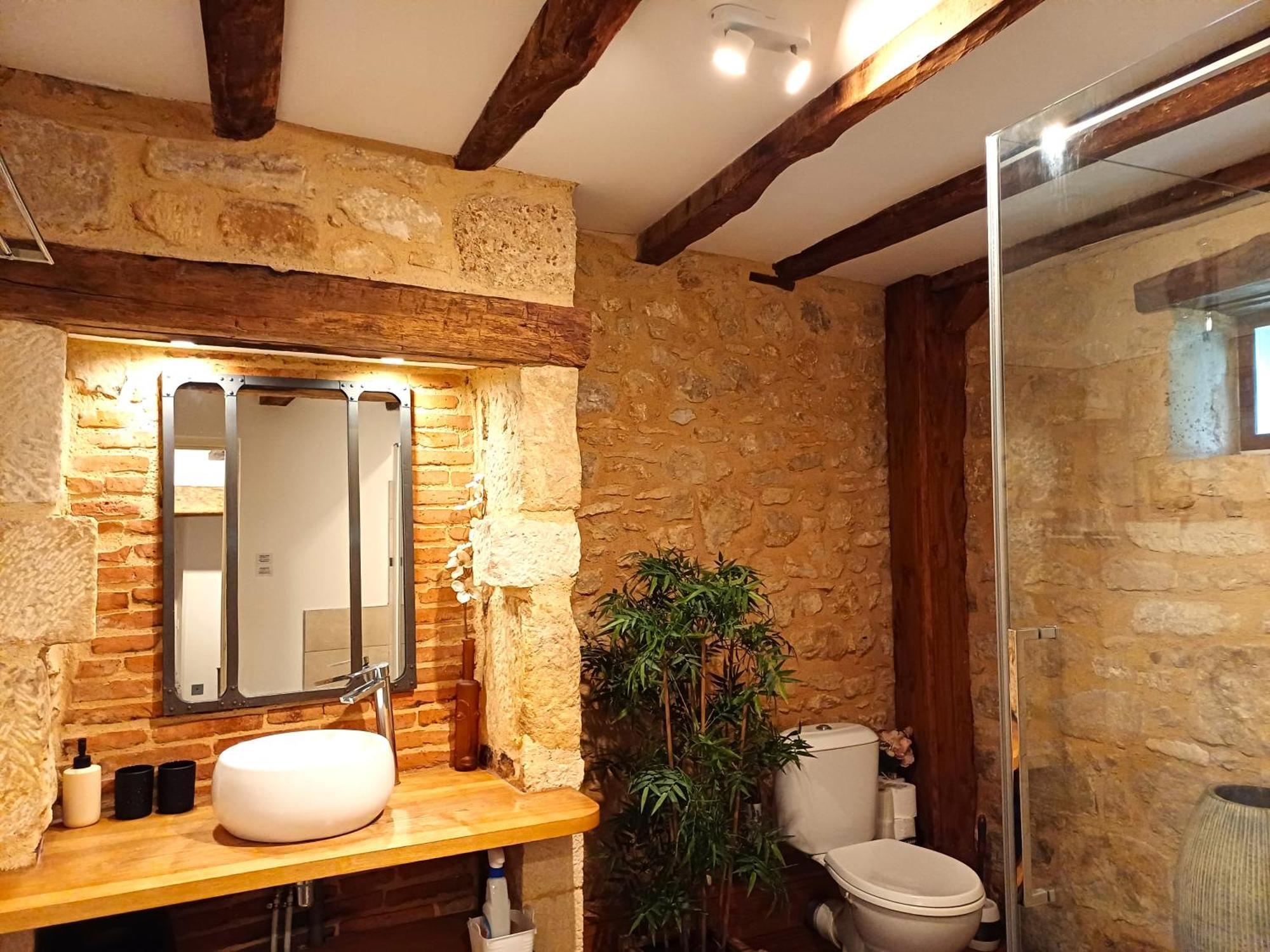 Au Pied Du Chateau - 5 A 11 Personnes - Baignade-Canoe-Piste Cyclable A 100 M 캬스텔노라샤펠 외부 사진