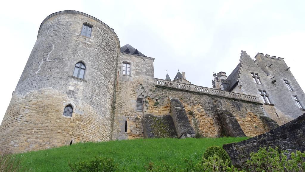 Au Pied Du Chateau - 5 A 11 Personnes - Baignade-Canoe-Piste Cyclable A 100 M 캬스텔노라샤펠 객실 사진