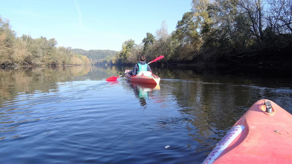 Au Pied Du Chateau - 5 A 11 Personnes - Baignade-Canoe-Piste Cyclable A 100 M 캬스텔노라샤펠 외부 사진