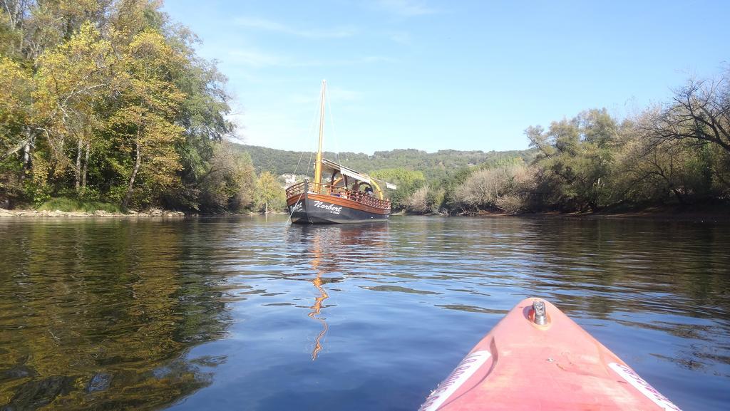 Au Pied Du Chateau - 5 A 11 Personnes - Baignade-Canoe-Piste Cyclable A 100 M 캬스텔노라샤펠 외부 사진