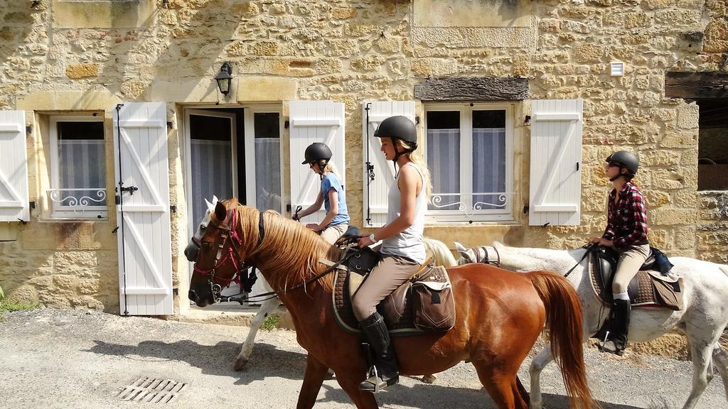Au Pied Du Chateau - 5 A 11 Personnes - Baignade-Canoe-Piste Cyclable A 100 M 캬스텔노라샤펠 외부 사진